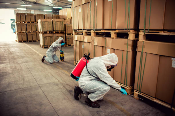Best Pest Prevention Services  in Halfway, MD