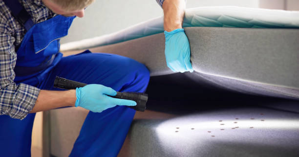 Best Pest Control Near Me  in Halfway, MD