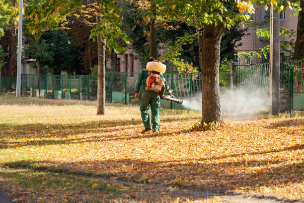 Reliable Halfway, MD Pest Control Solutions