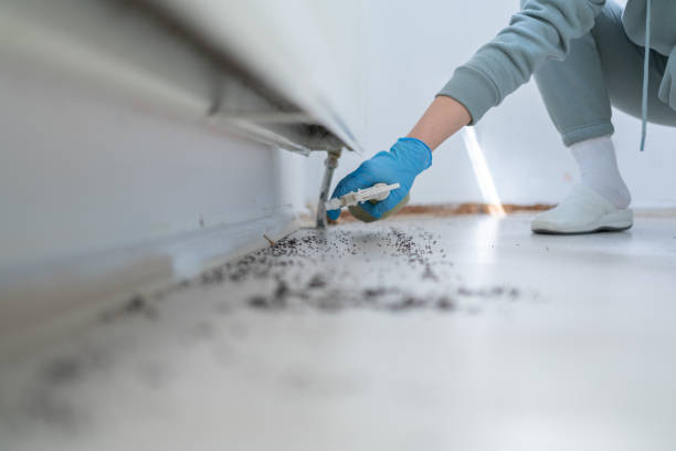 Best Pest Removal Services  in Halfway, MD