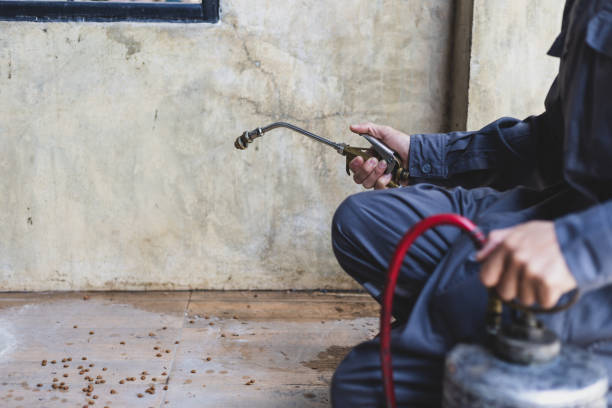 Best Best Pest Control Companies  in Halfway, MD